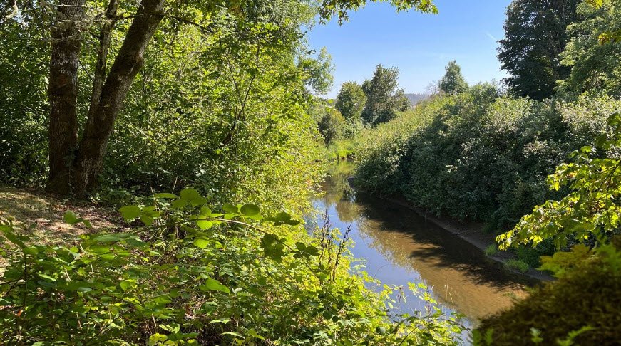 Sarah Helmick State Recreation Site, Oregon, USA